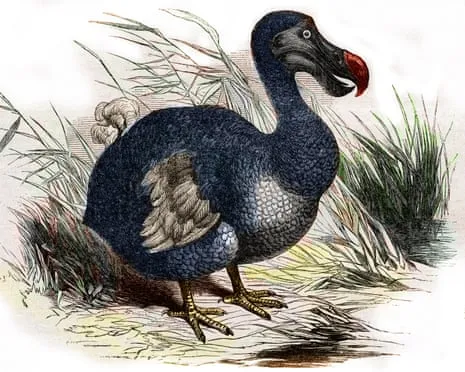 Researchers Claim They’ve Made a ‘Major Breakthrough’ in Bringing Back the Extinct Bird for the First Time in Three Centuries